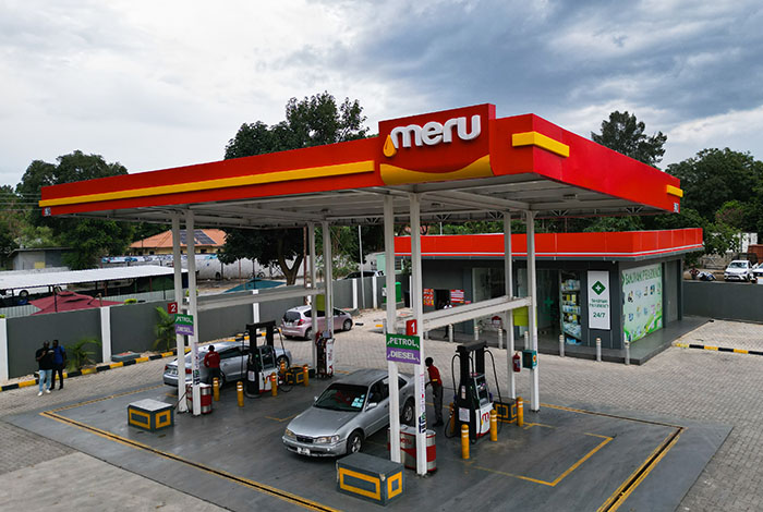 Mount Meru Petroleum